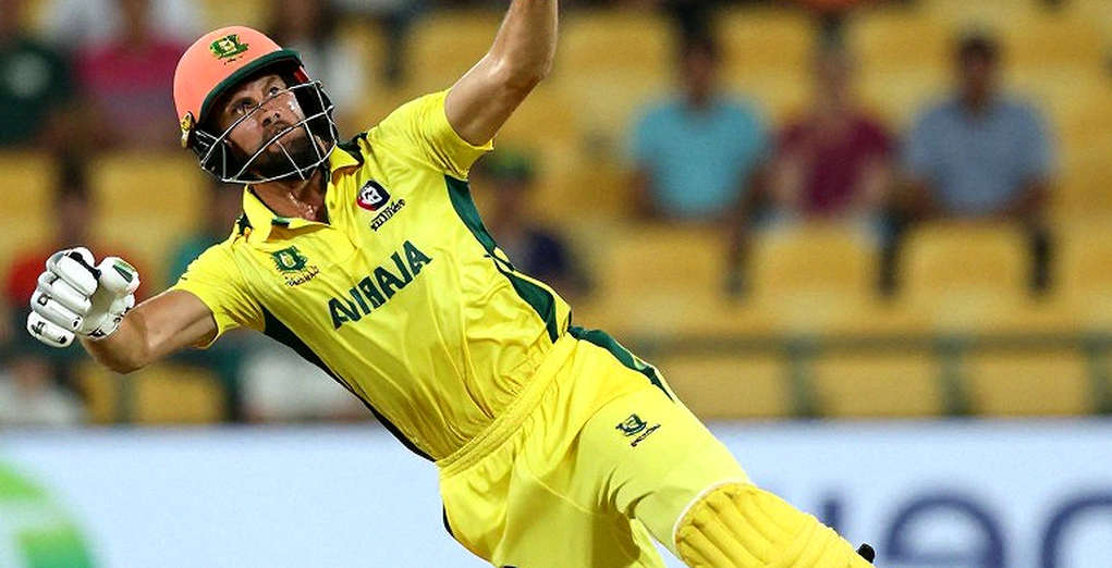 ৭৩৬ সারির নীরবতা: ক্রিকেটের ট্রান্সফার মার্কেটে কে অপেক্ষা করে, কে দাম পায়